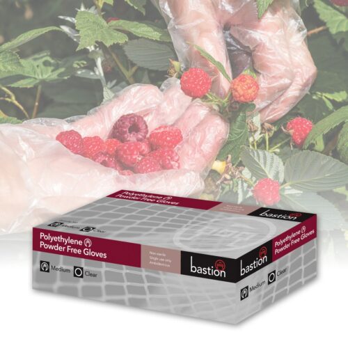 Bastion Polyethylene Gloves Clear